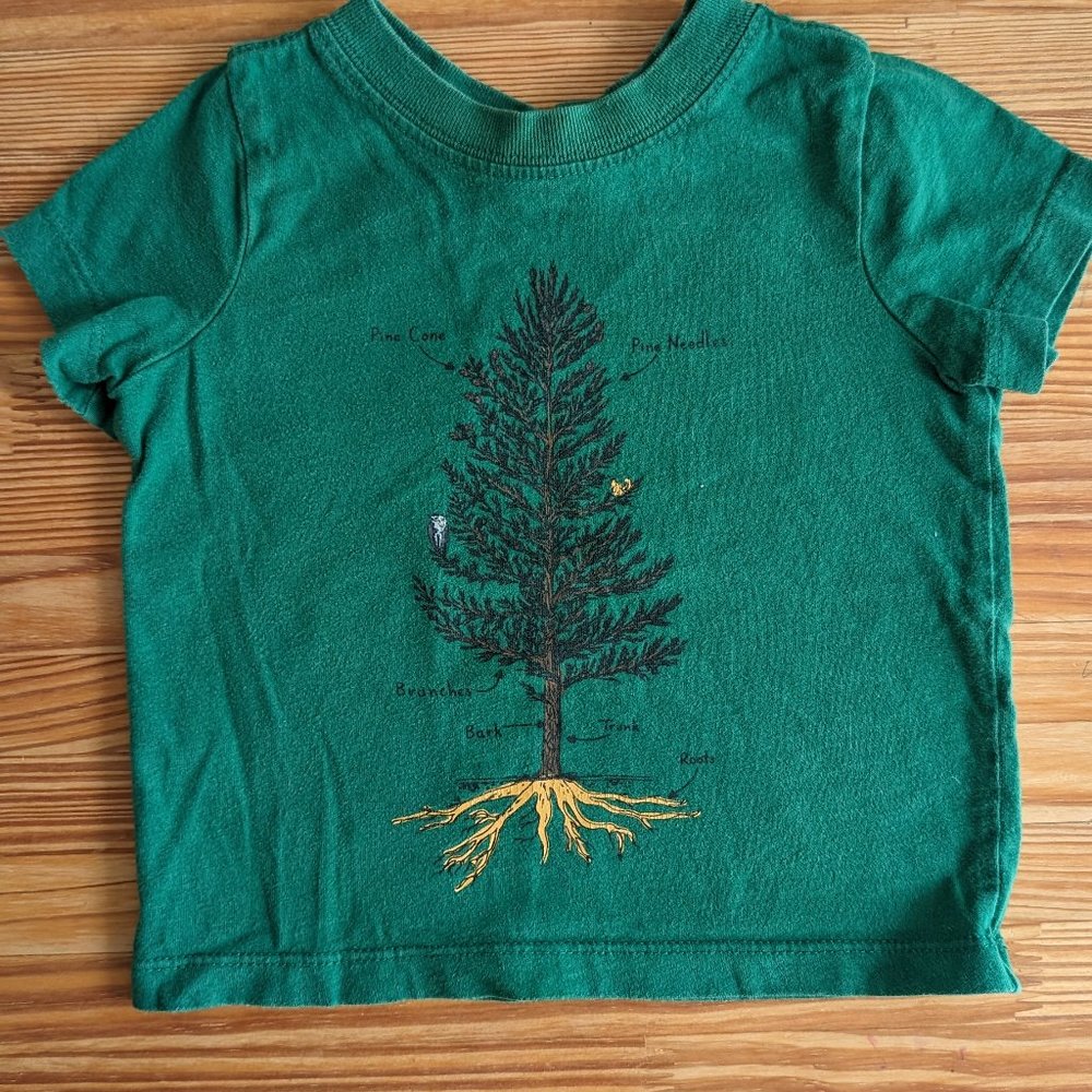 Hanna Andersson Toddler Pine Tree Graphic Tee